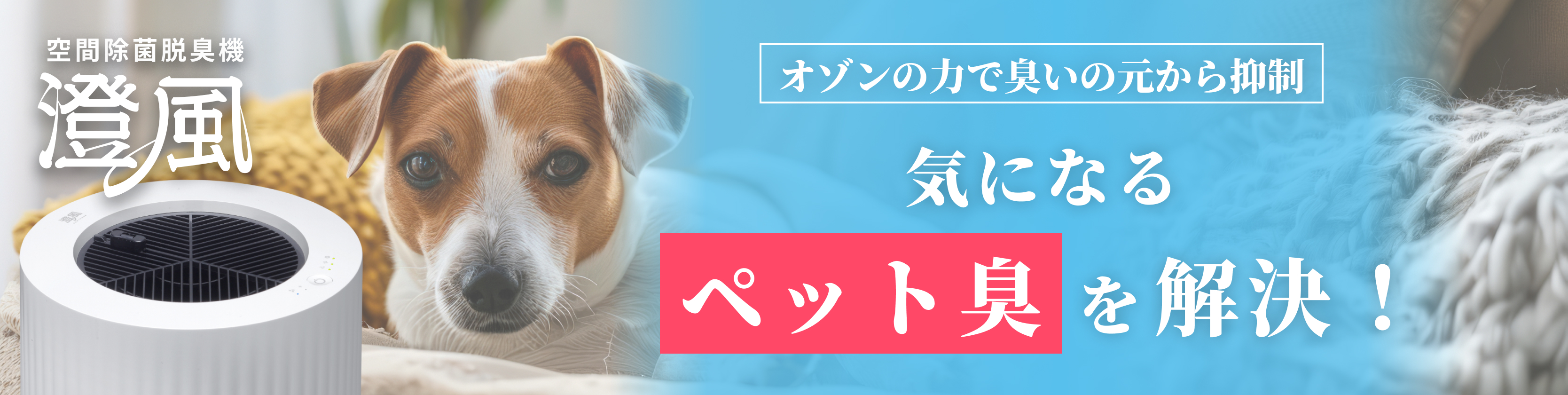 banner-pet-01.jpg